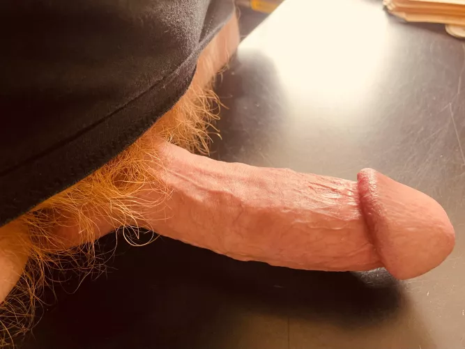 Red meat… by Relevant_Junket6404