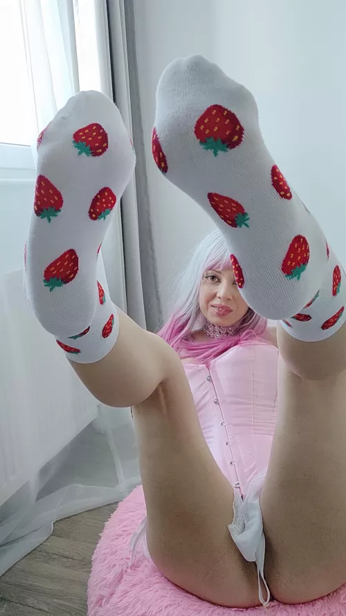 Taste them by alleyabae