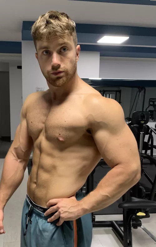 Thoughts? by yoursitalianchrus