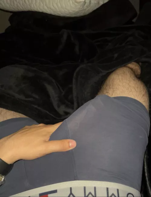 Tommy Hilfigers by TrueGodComplex