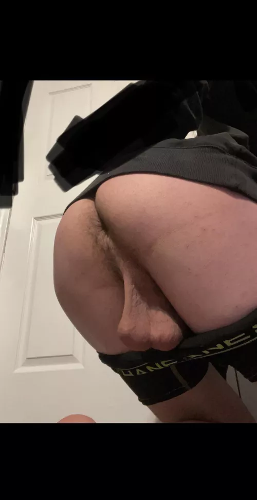 Tug them by bihungbull15