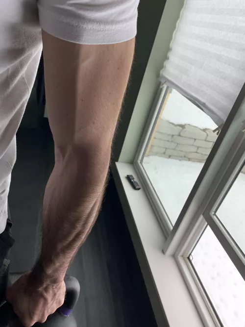 What do you think of my forearm? 😁 by 53995
