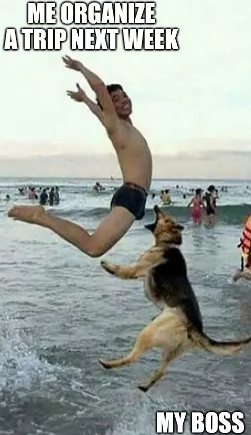 Who else is planning a trip? posted by alexismG7