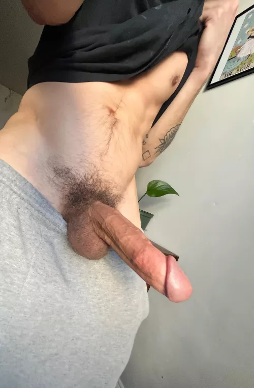 Would you fuck or suck me? by jadeandjasperx