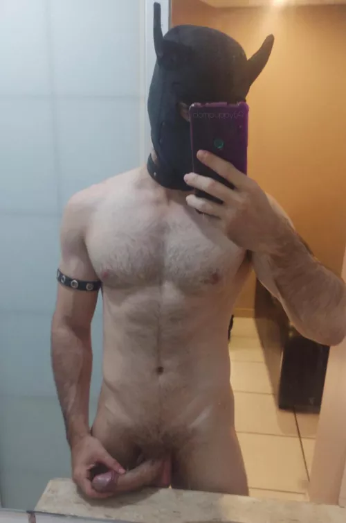 Your Master cock is hard again, come and make me cum by dompuppy69