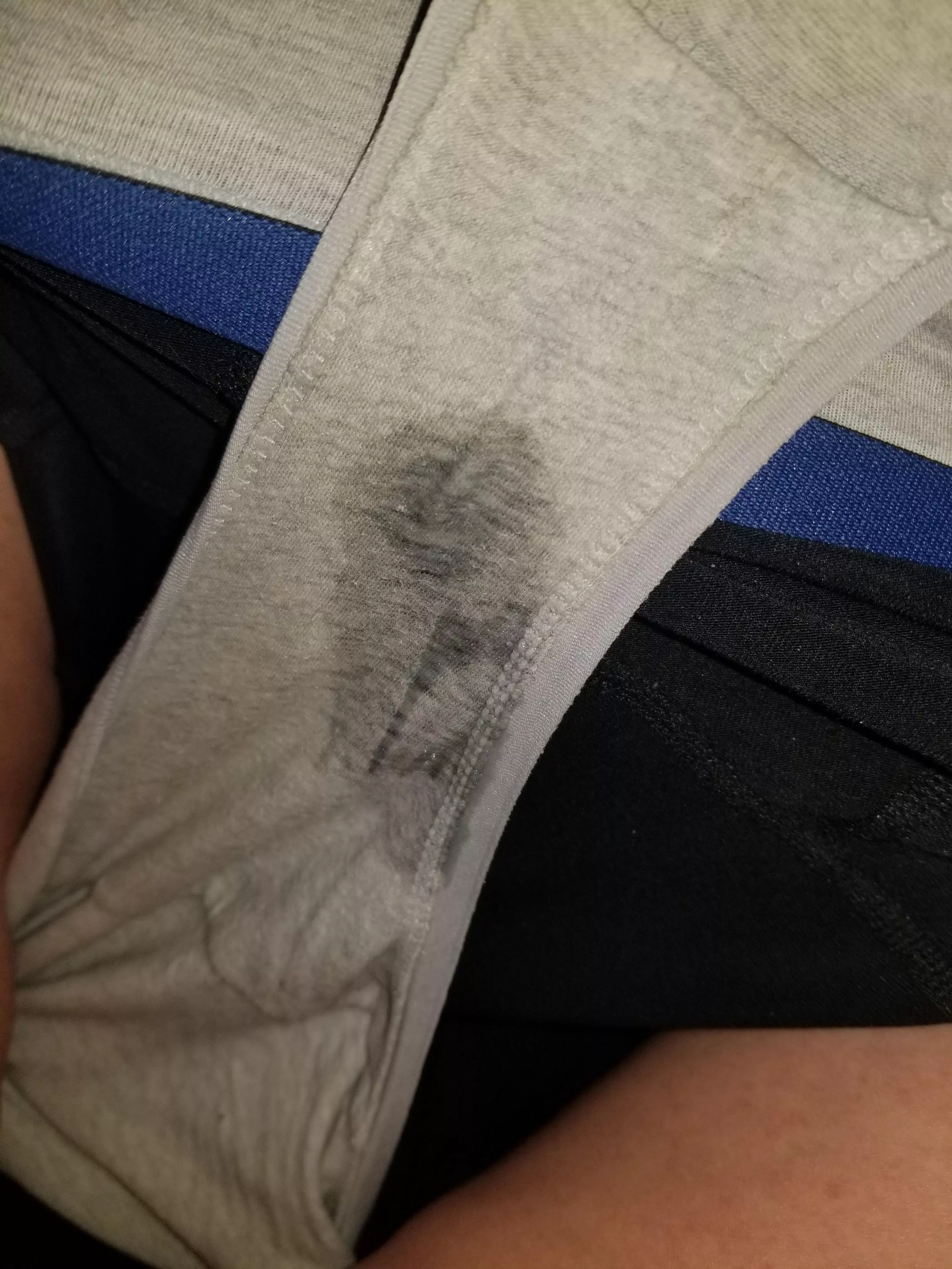 A little play time posted by sugarpet2010