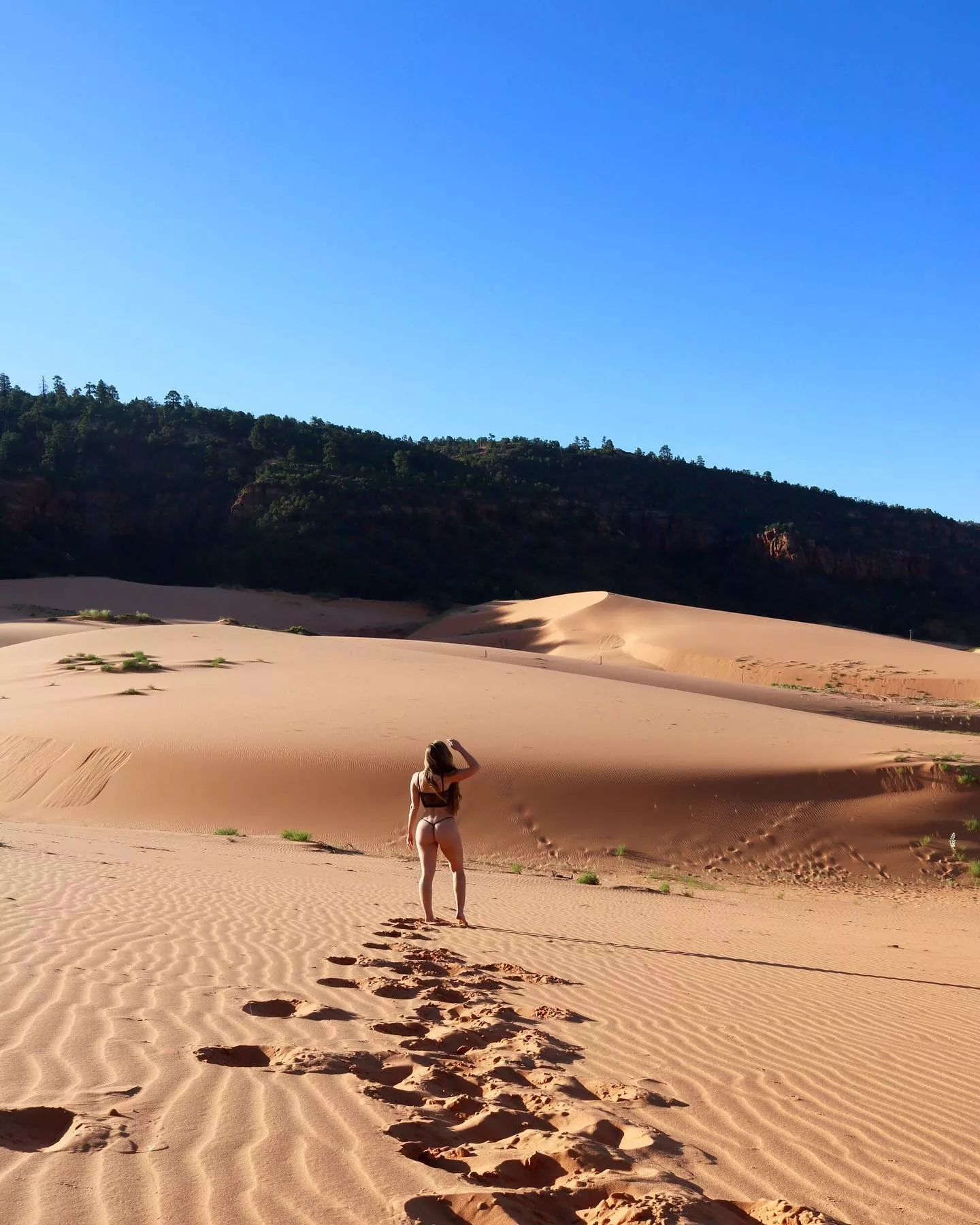 Alone in the dessert posted by abby-opel
