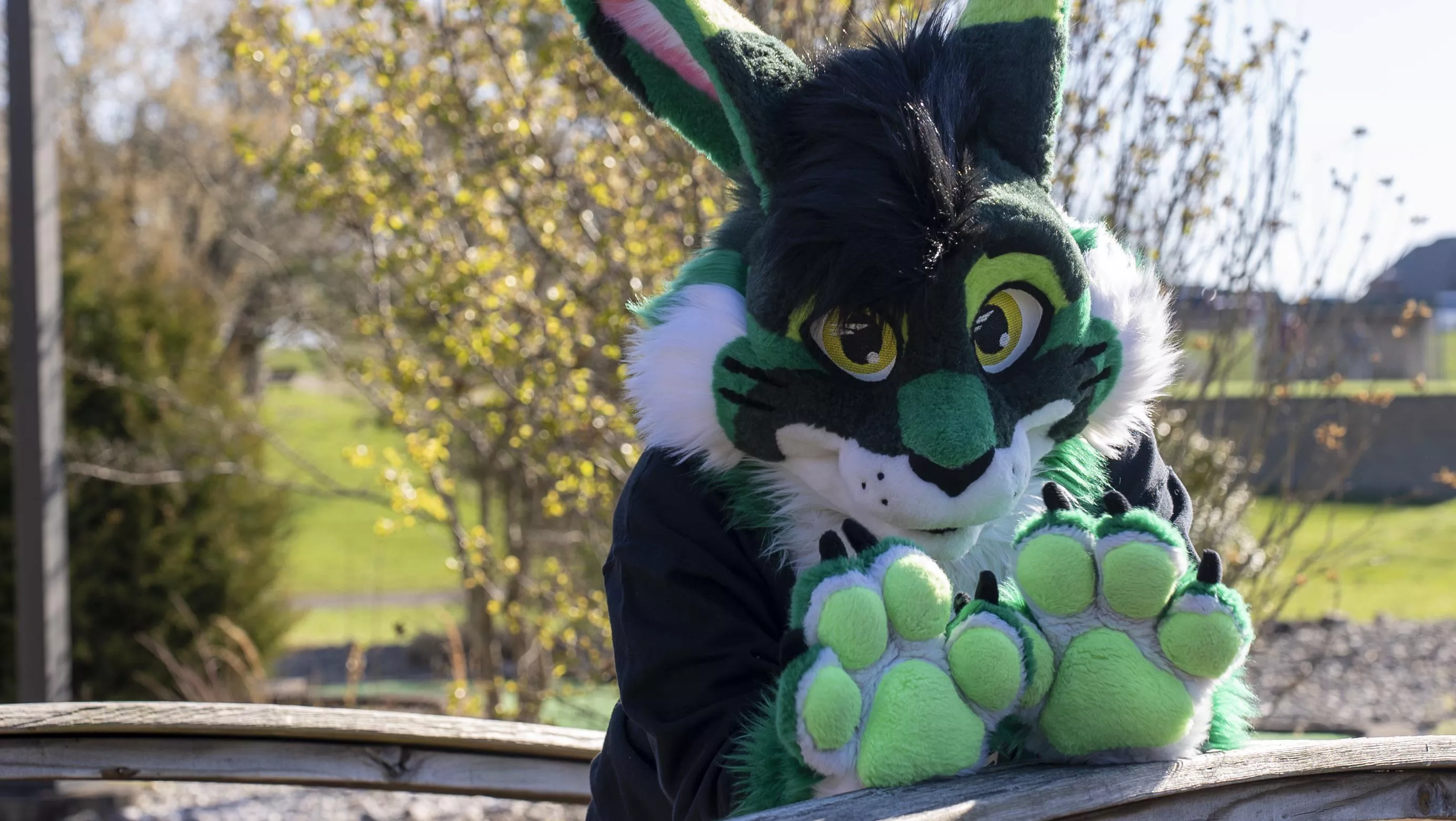 Cabbit Beans posted by s0ftbyte