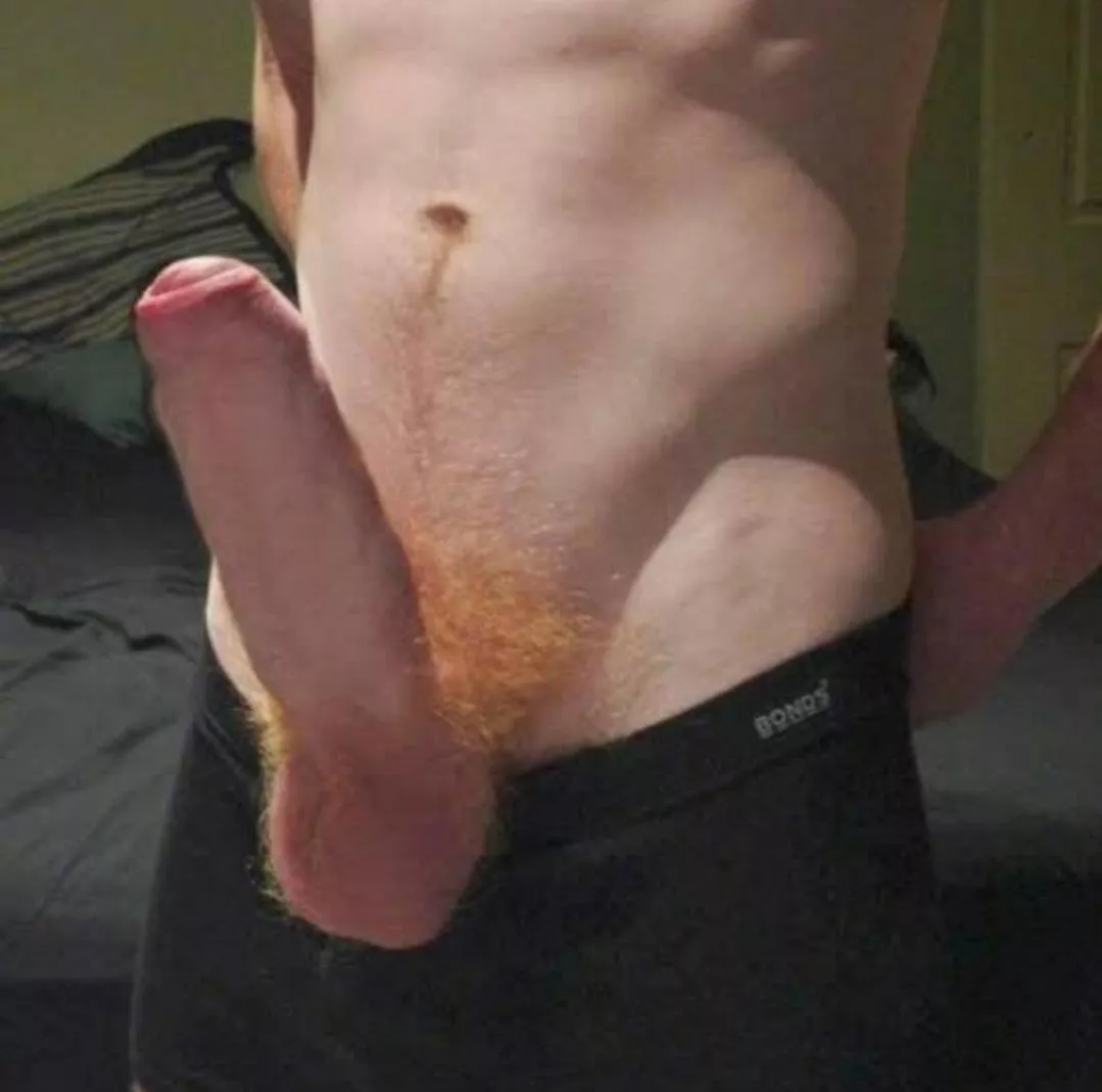 Don't worry, it doesn't bite 😊 posted by GuavaPenetrator