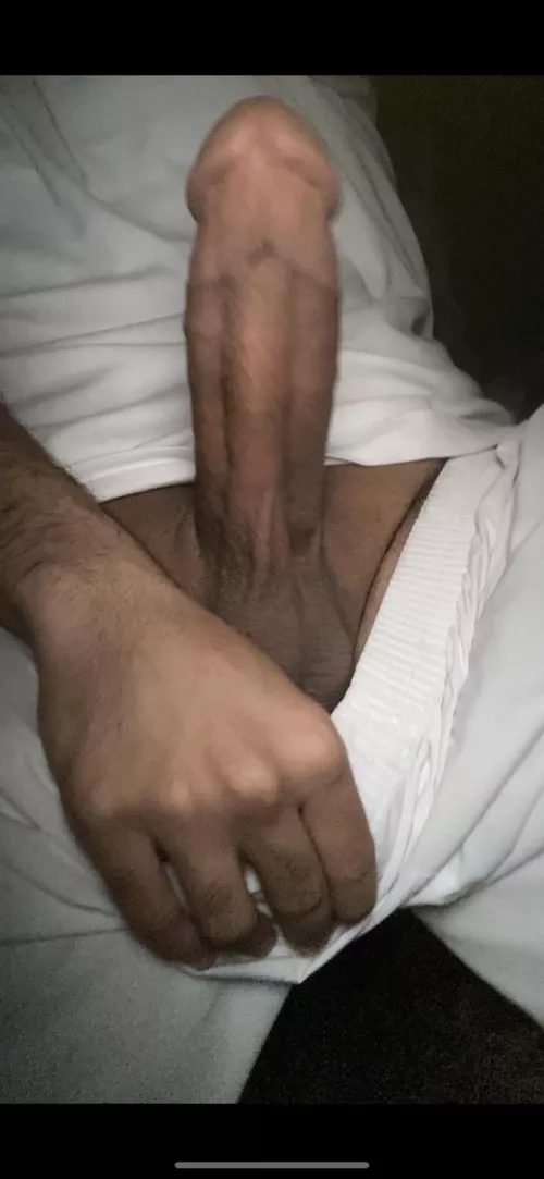 Happy to spread big dick genes by breeding_bull_0102