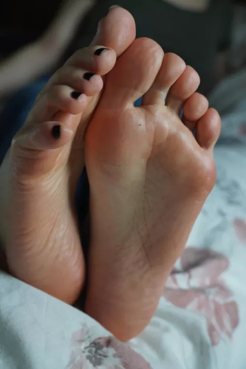 Just imagine waking up to this view 🤤 by SylvieSunflower