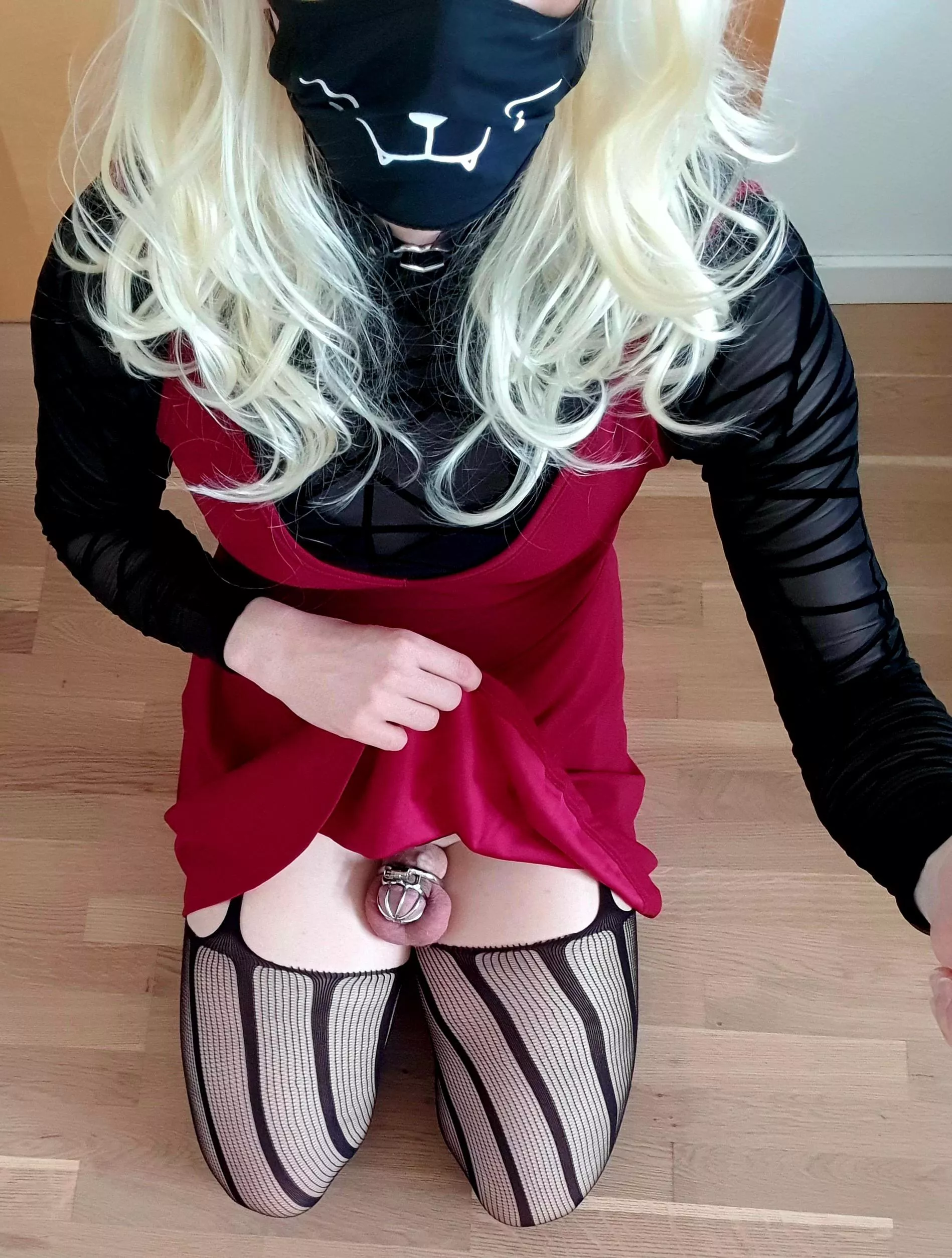 Locked and denied for weeks, should I start milking? posted by Tamira_cd