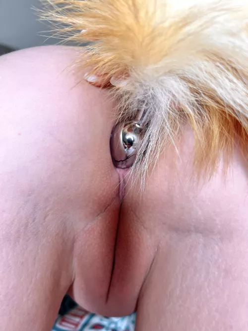 Midplug Tail Fun by TattedBlondeshell