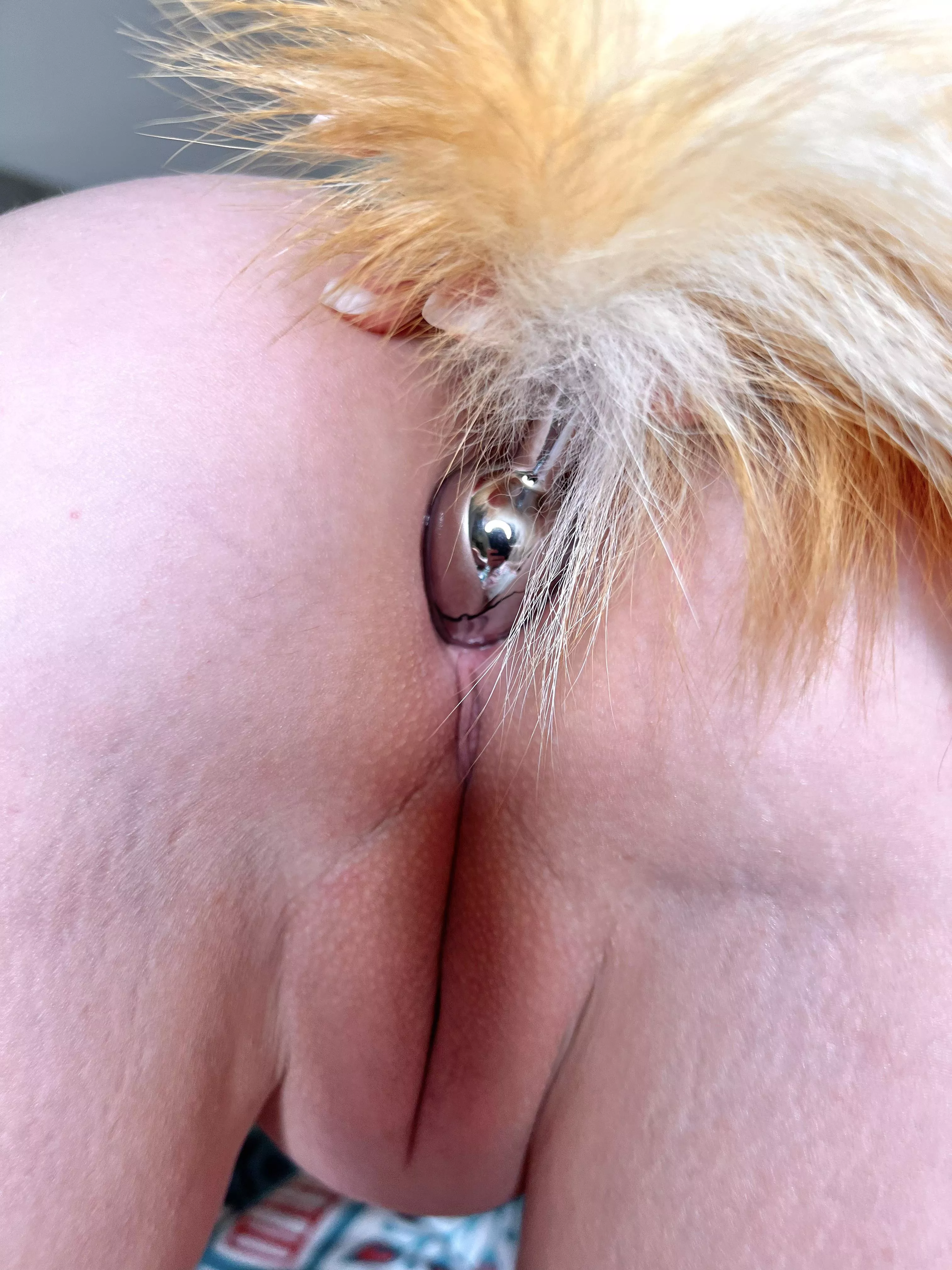 Midplug Tail Fun posted by TattedBlondeshell