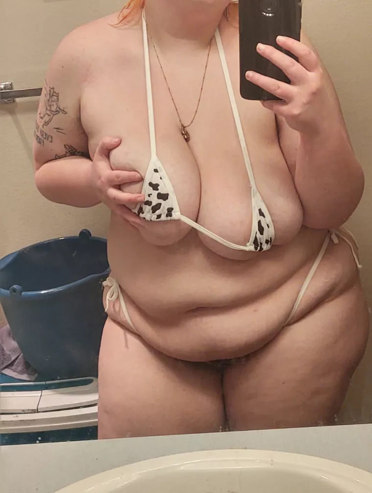 Moo ~ posted by MilotheDyke