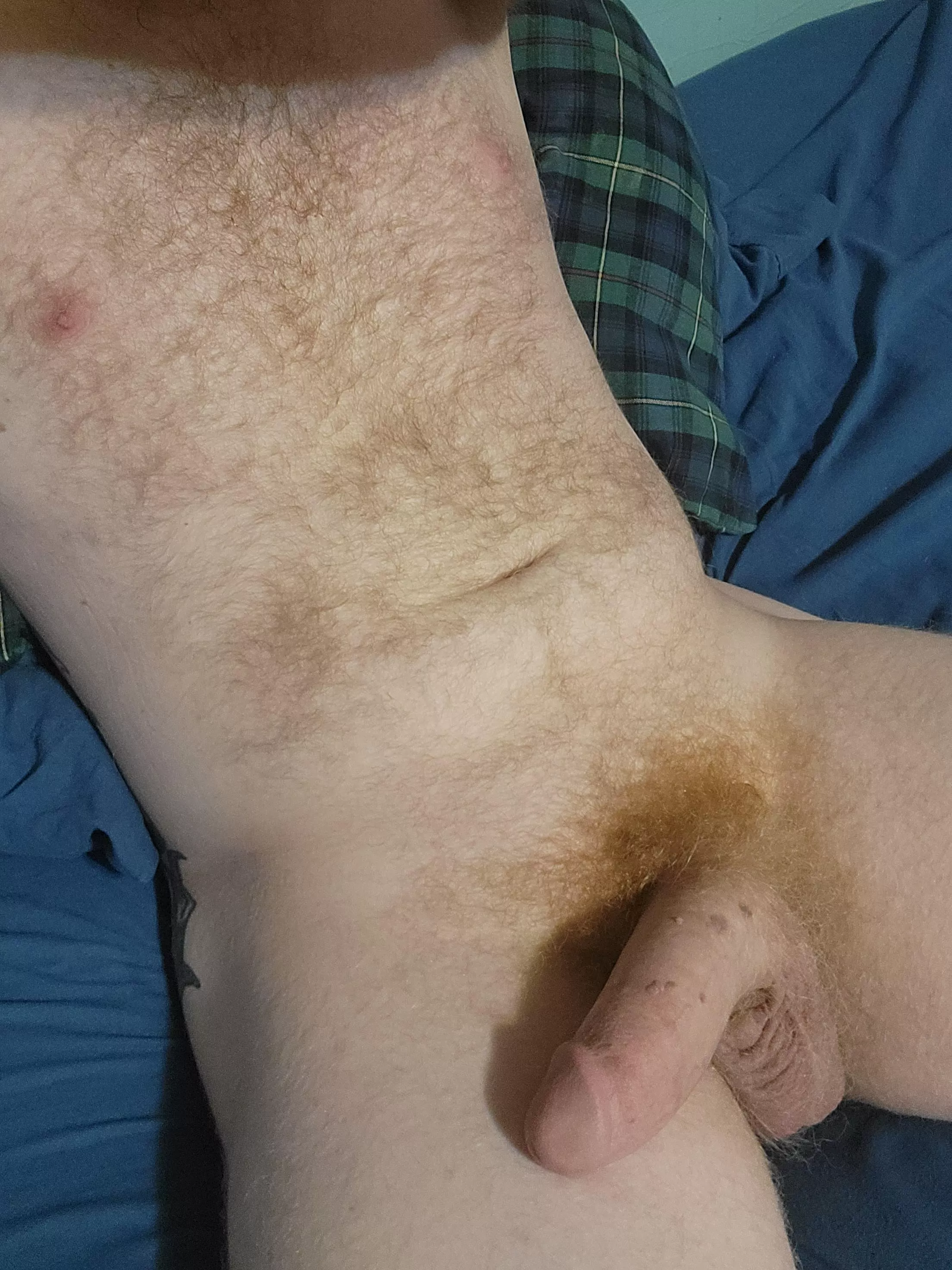 New here, first post. posted by Polar_bearAK