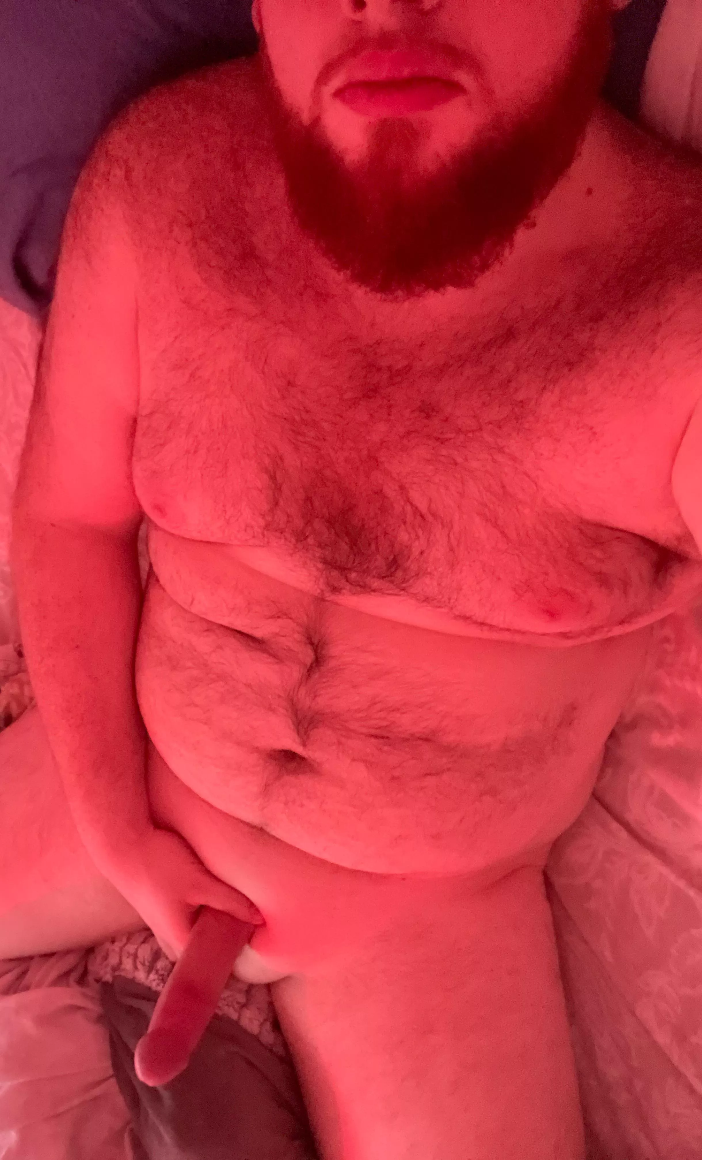 Pick a seat beard or cock ? posted by EldenUglyMane