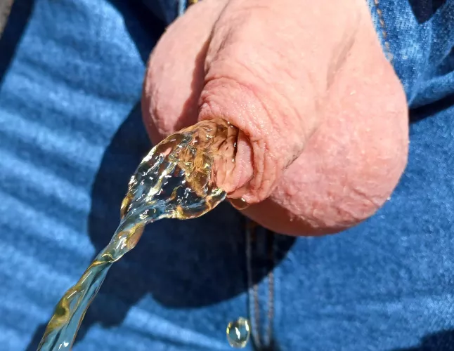 Pissing in the sunshine 🌞 by mr-him-husband