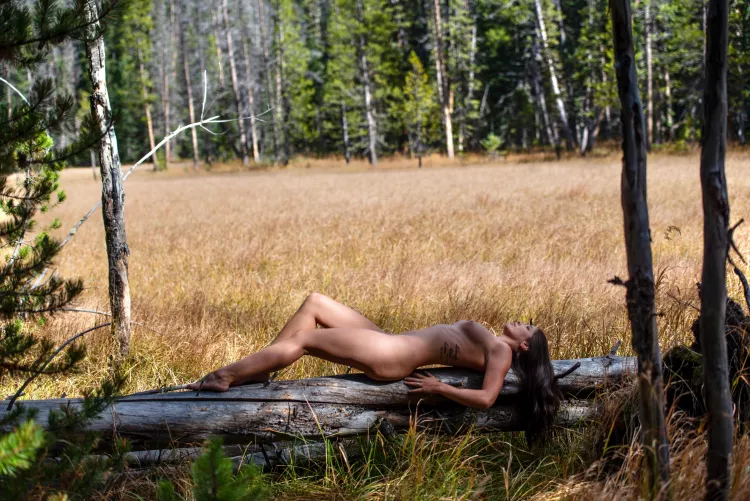 Rocky Mountain Meadows - OC by Emma_Rose_24