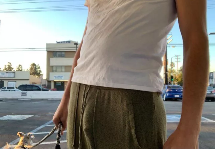 The neighbors always stare when I walk the dog, wonder why. by DeadlyDickinDemonDad