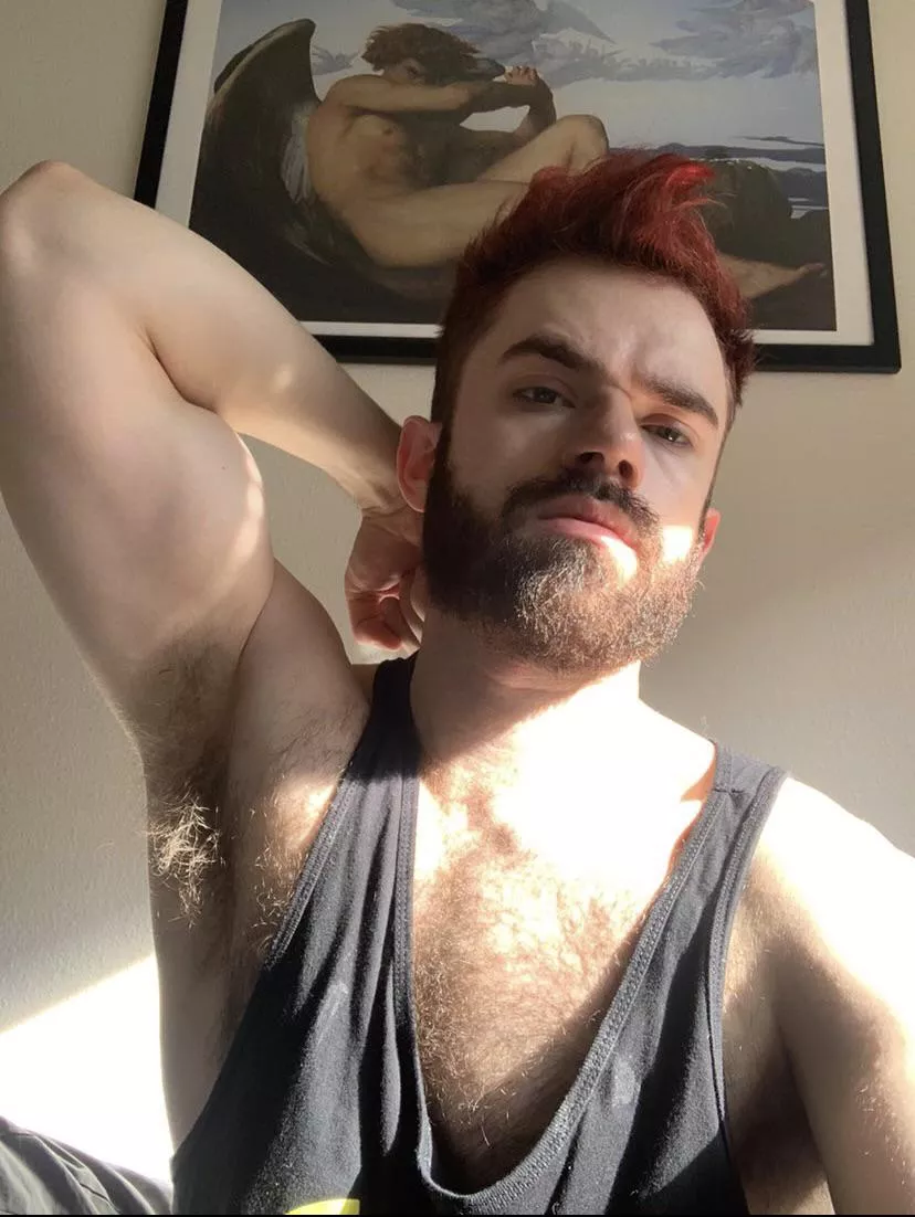 Thots? posted by Hazelmere-rs