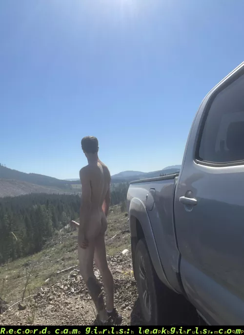 Waiting for someone to drive by! by FNYXwtUzKLRWTsEU