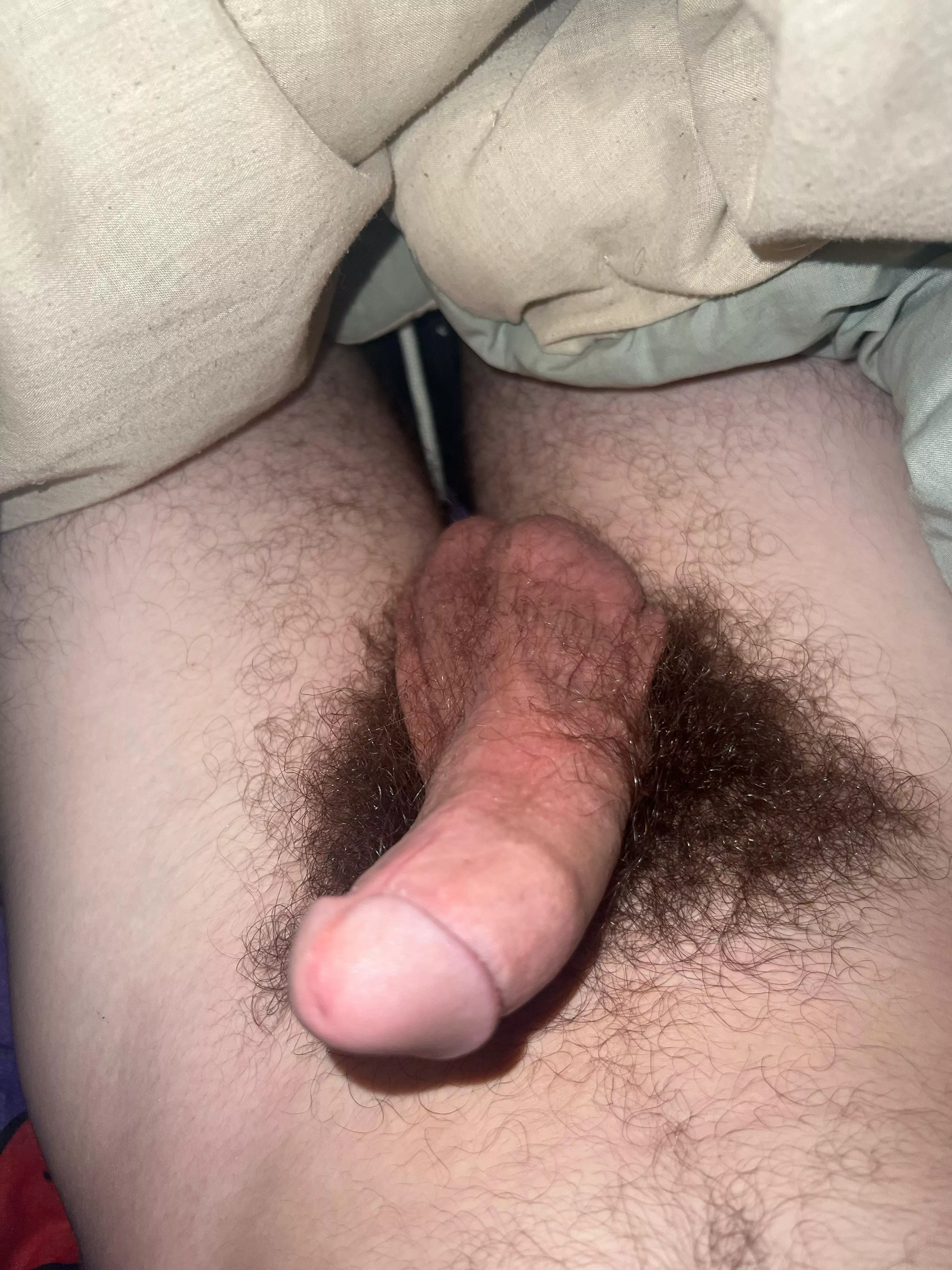 What do you’s think? posted by Consistent-Rope-8565