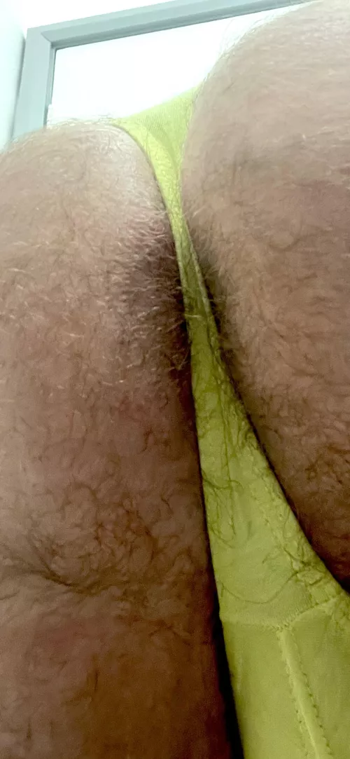 Who wants my hairy hole in this thong? by hairyguy2