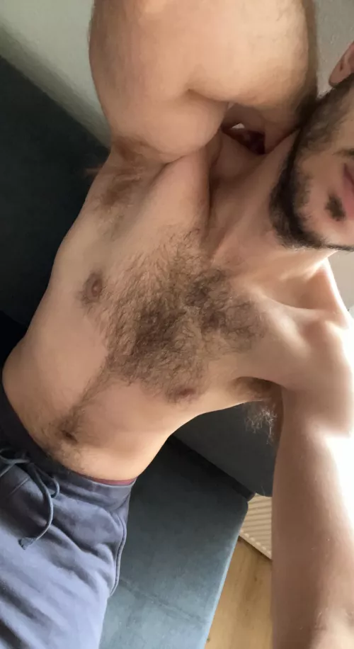 23 hairy vers for twinks face is must sc : krato331. Longterm+ by hairyotterboy23