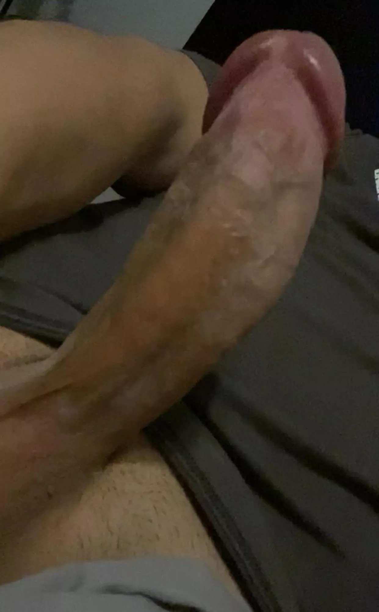 24 home alone horny af posted by Expensive_Ice8683