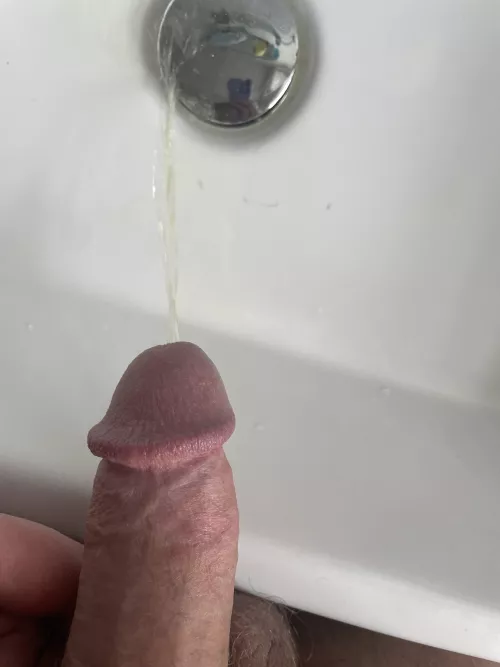 40 M BI UK ( English piss ) Sink Pee by Discodickleeds