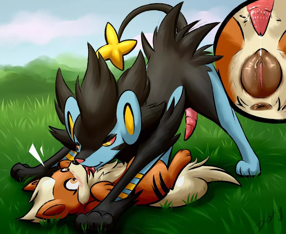 About to make that growlithe VERY happy and stuffed [MF] (muskydusky) posted by mrrandomboredom