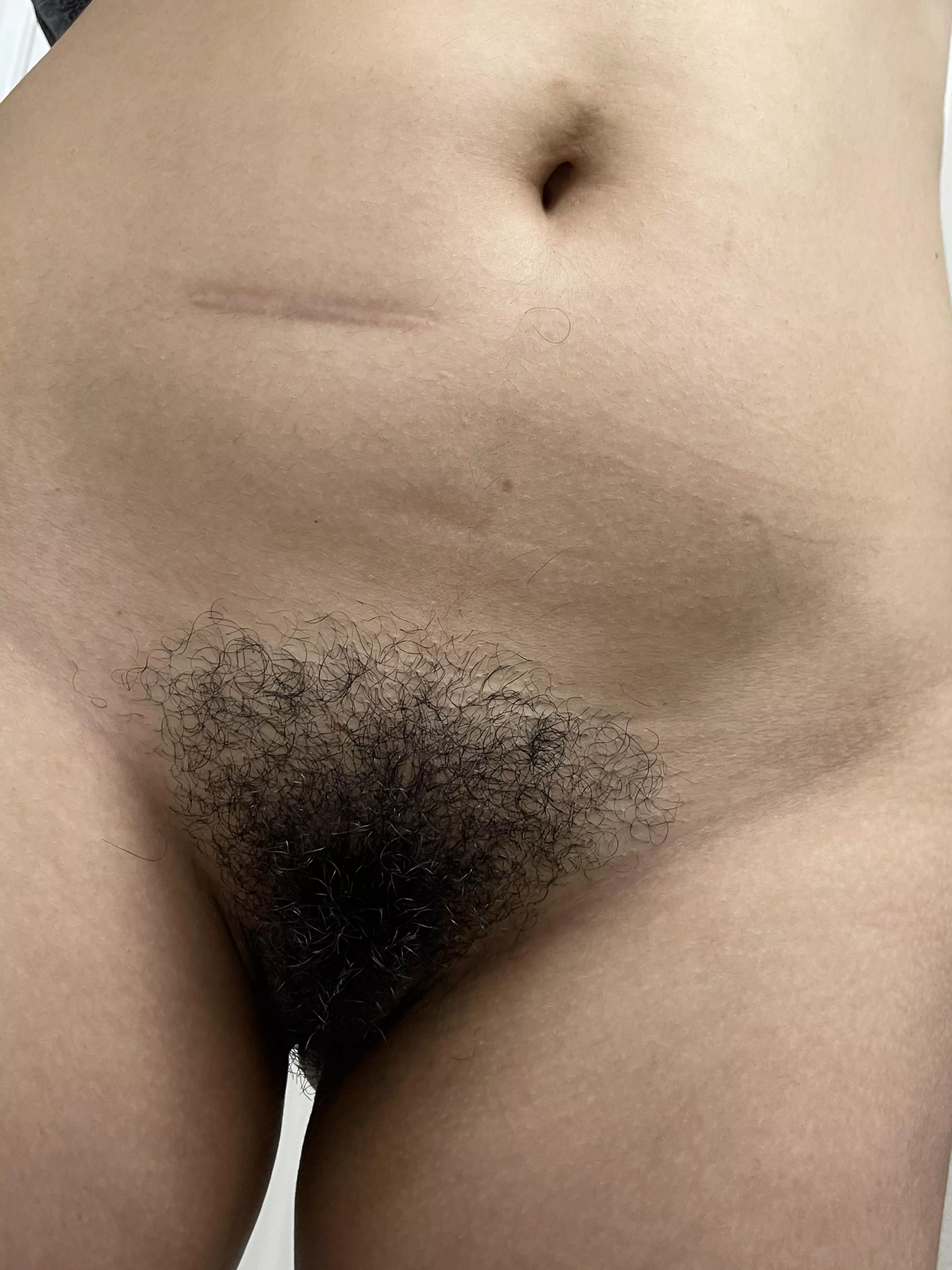 Come explore this dark bush posted by Lane-703