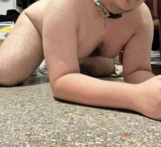 dm me if you’re a chubby dom hehe :3 by More_Ad5984