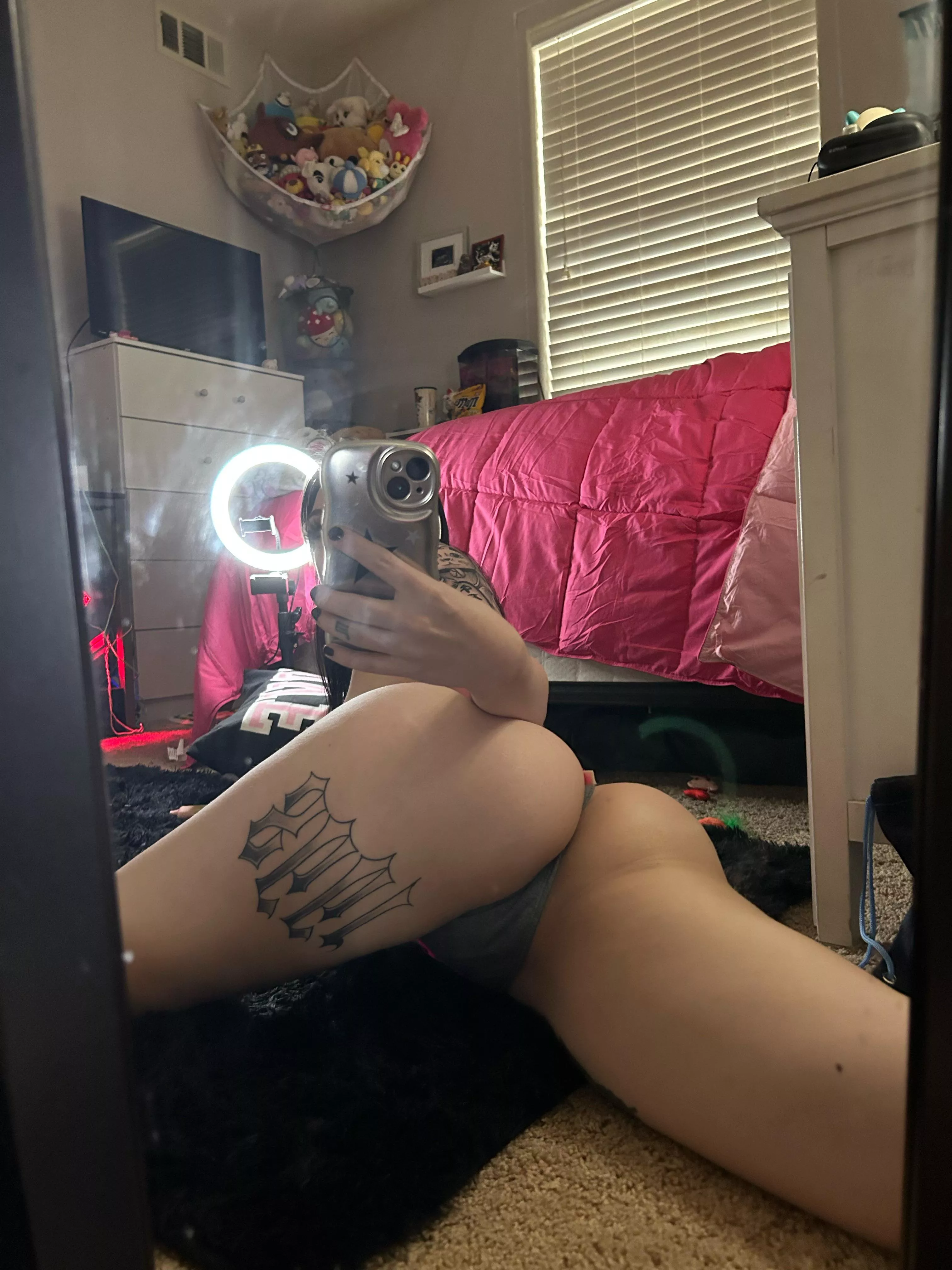 excuse the mess posted by isabellsprout