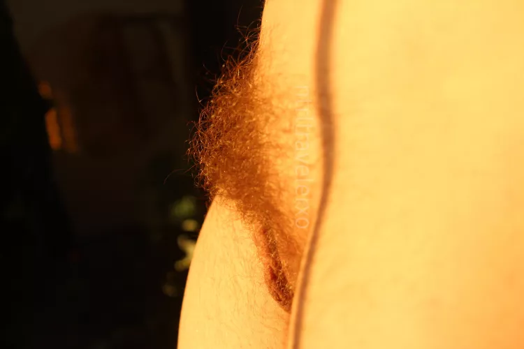 It’s almost like Da Vinci crafted this piece of art himself by ntrltravelerxo