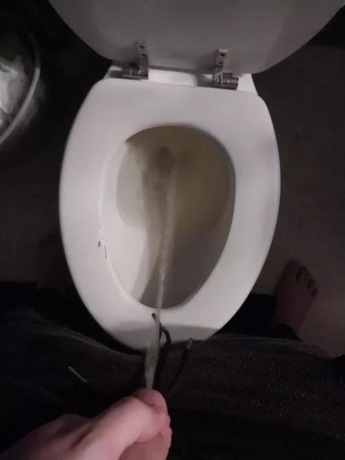 Outta request (if this blows up I post more) by Dolfan54999