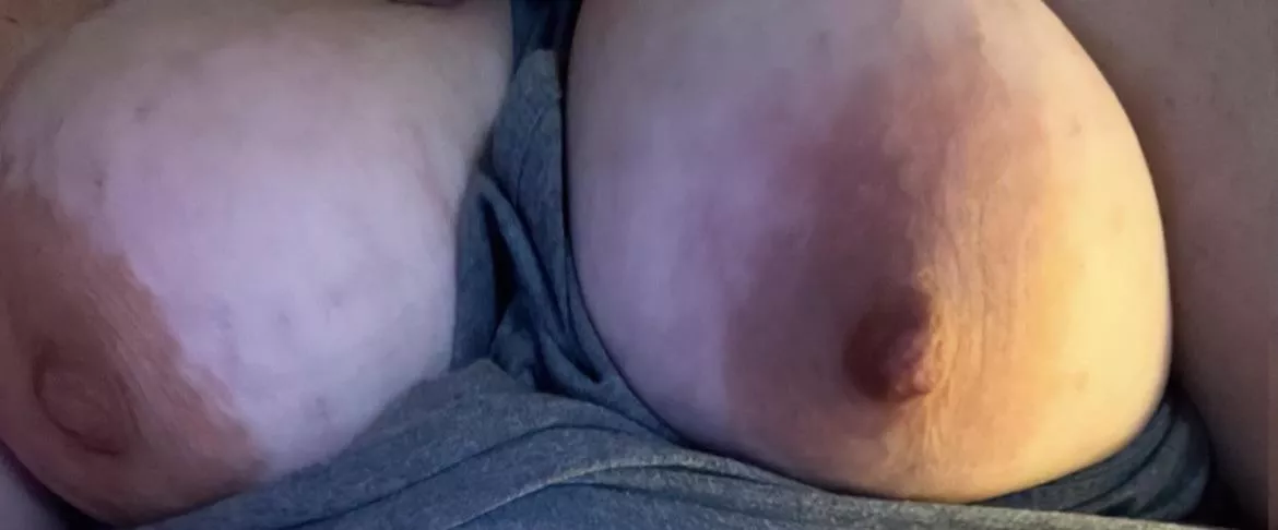 Titty Tuesday anyone? posted by scorned_txlady