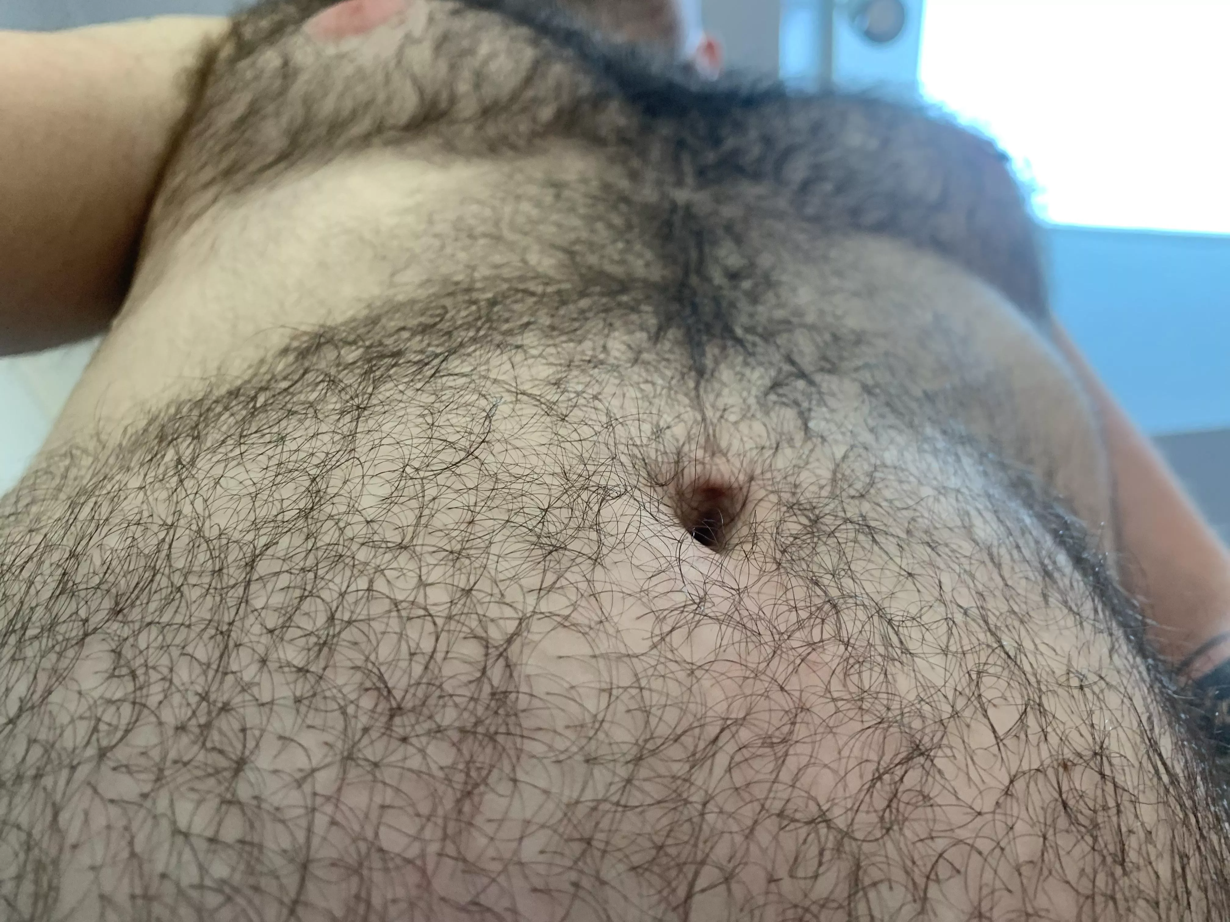 Trees through the forest 🌳 posted by MatticeBallice