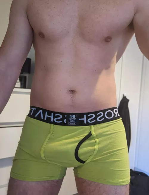 Bulging by gym_brogress