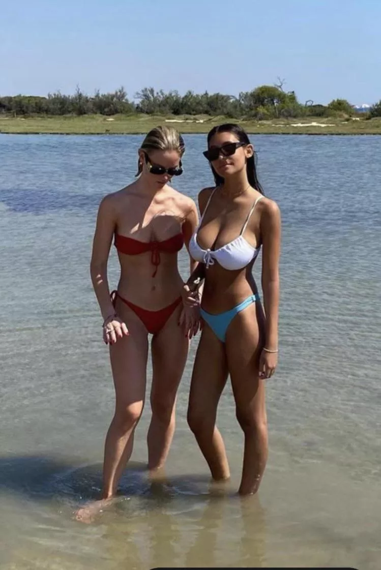 Diplomatic immunity posted by spicy_kingWest44