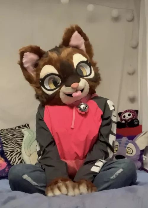 Kemono kitty by Vitawny_cat