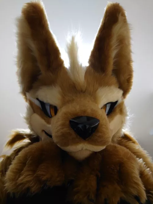 The snoot of @ten_bite on Twitter by Dragoniel