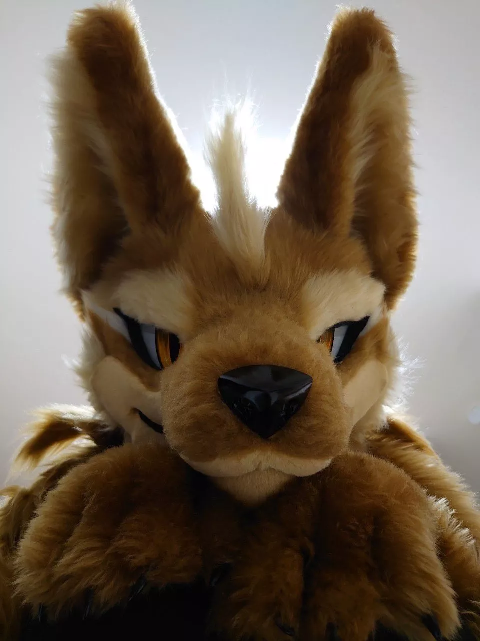 The snoot of @ten_bite on Twitter posted by Dragoniel