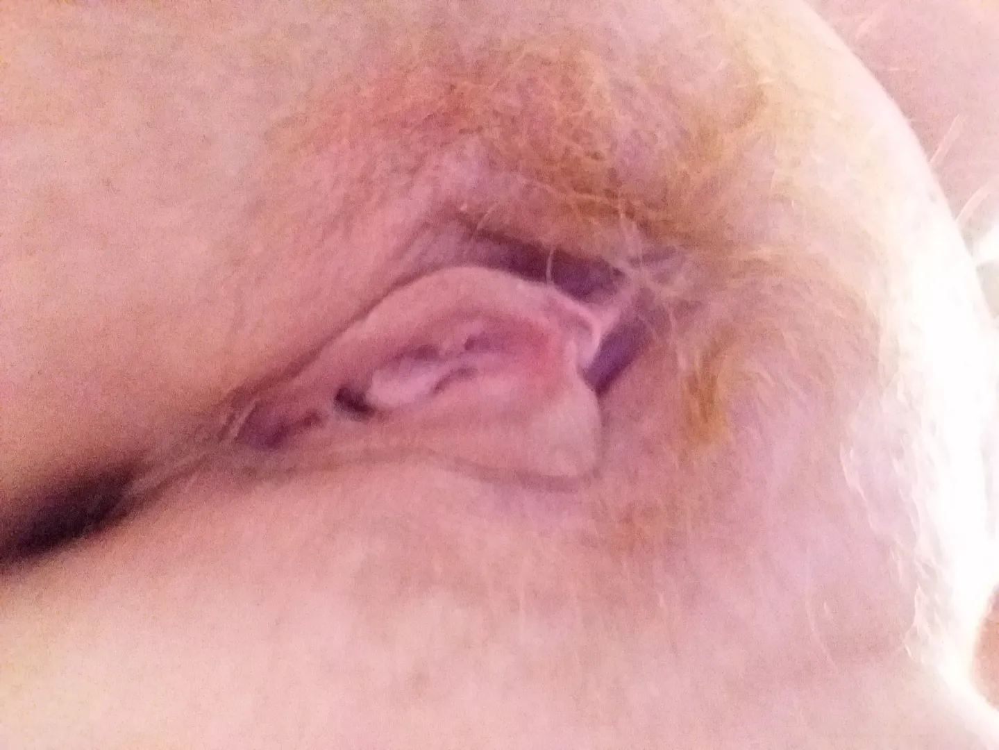 Was ordered to post this. This is a controlled cunt. No touch all day, right before edging tasks. by irmgardbatty