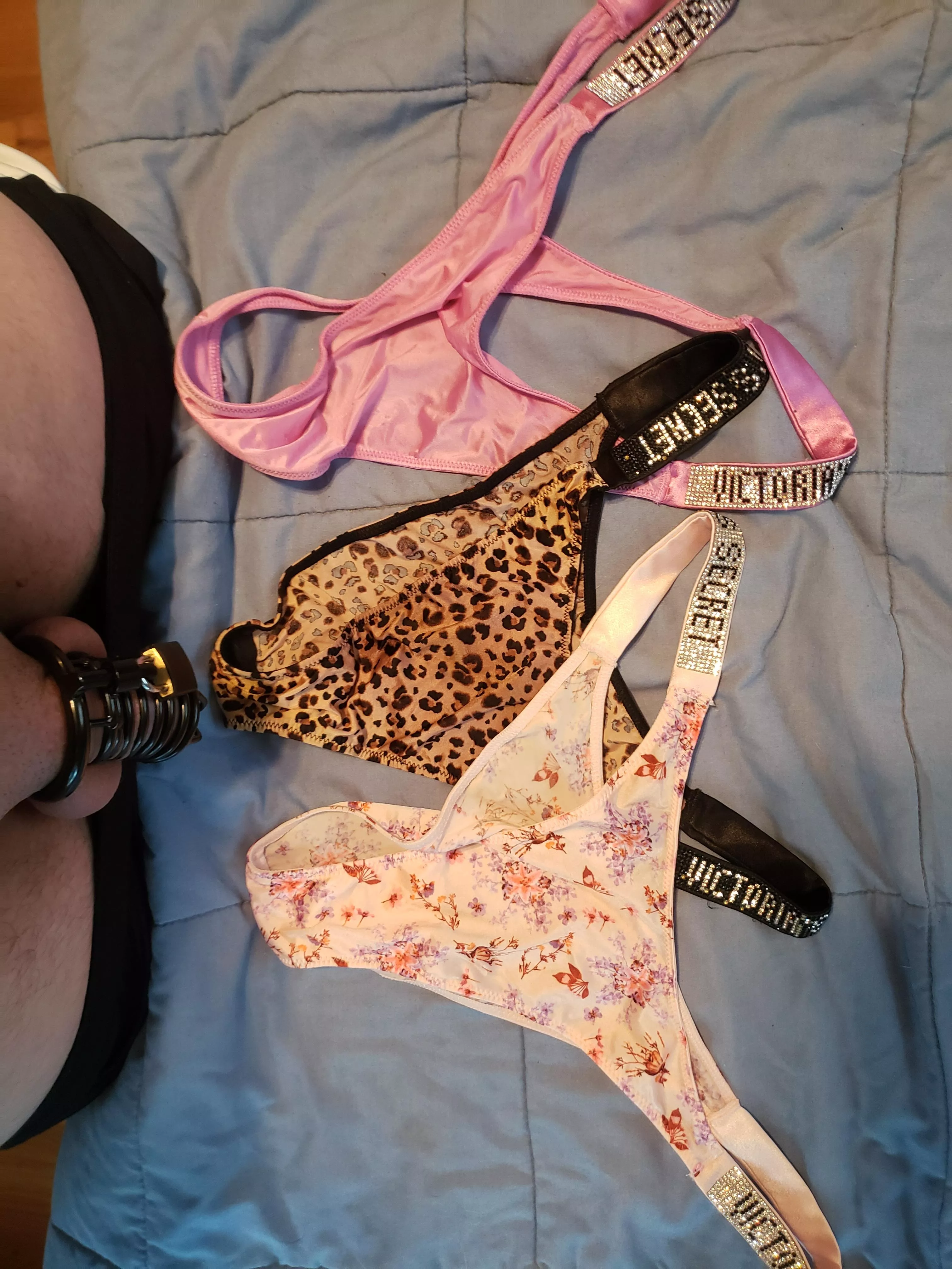 When your wife picks out which panties she wants you to wear posted by skymagic22