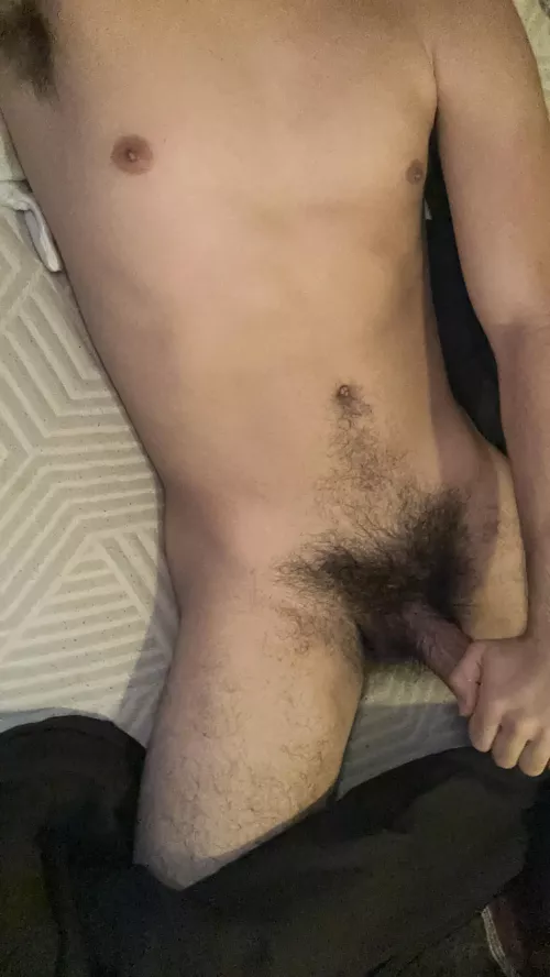 25, horny for hairy fit BWC, show face on add, tops & bottoms welcome, sc: Horne2182 Older(35+)+++ Blonde+++ DO NOT ADD IF YOU DO NOT SHOW FACE by ReallyHorny33