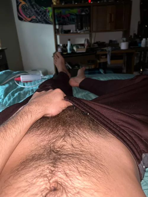 27 us dmilly12 with toy by Pitiful-Being7709