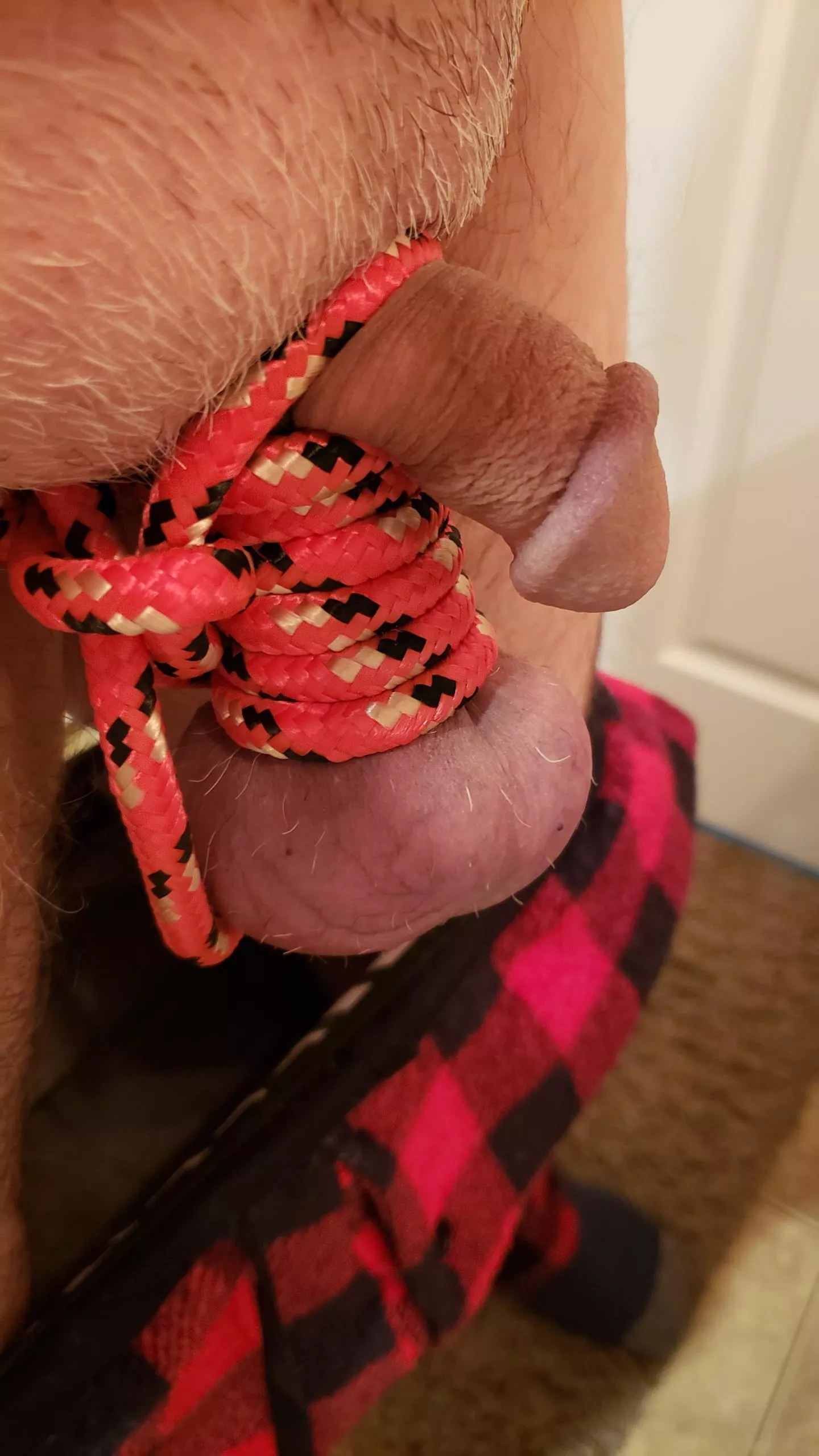 (55) So sensitive when stretched and bound. posted by screamingphetus