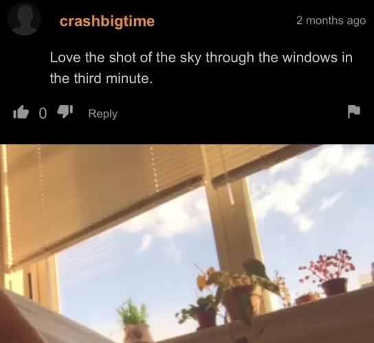 A gentleman with great taste in scenery by Ancient_Leg_1320